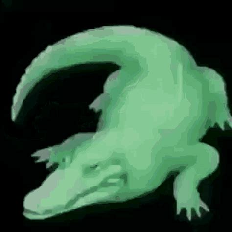 crocodile gif|crocodile gif free.